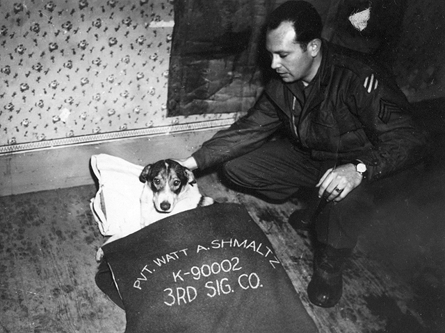 War Dogs WWII - Le Bonhomme, France - 3rd Signal Co. - 3rd Infantry Division WWII